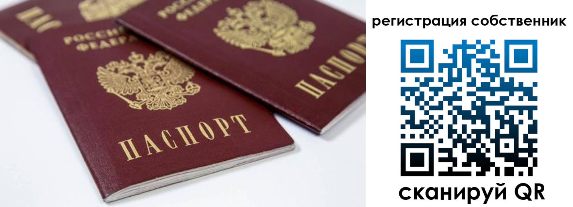 прописка для школы в Пскове